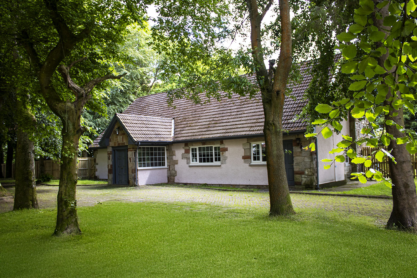 The house in summer